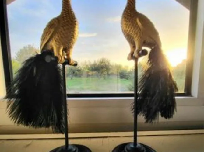 ベッド・アンド・ブレックファスト Raffaella